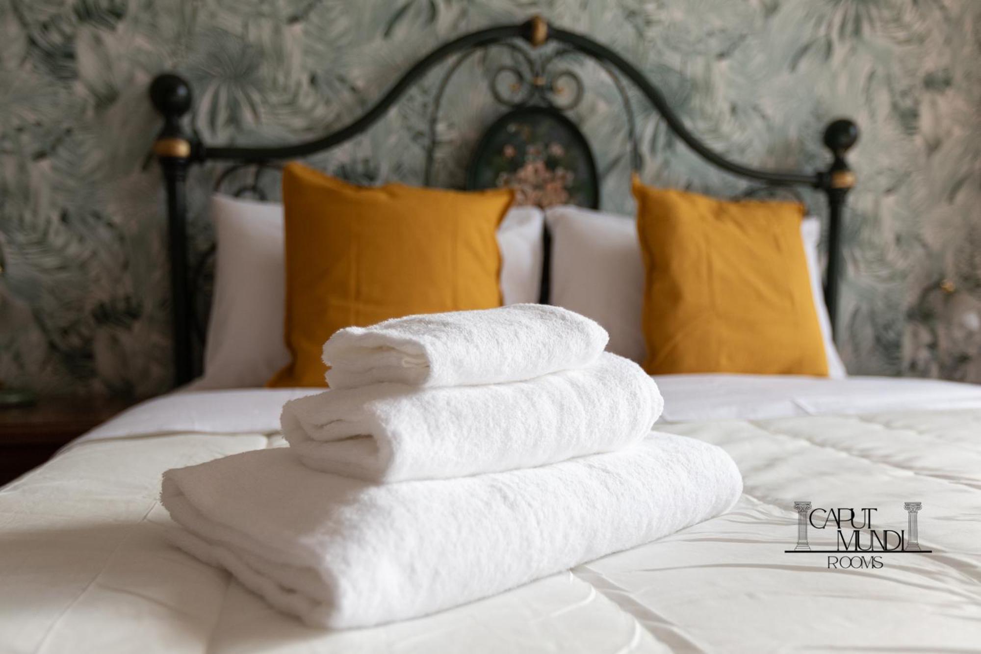 Caput Mundi Rooms - 100Mt To Metro A, Terrace, A-C, 15 Min To Center Roma Esterno foto
